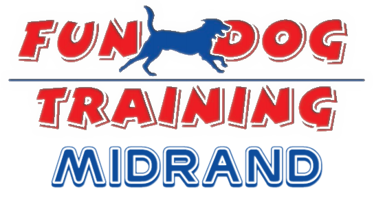 Fun Dog Training
